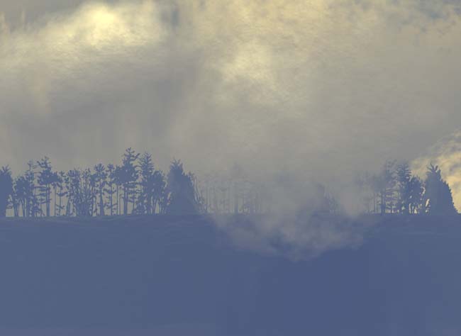 Philipp Gasser, &Uuml;etliberg im Januar