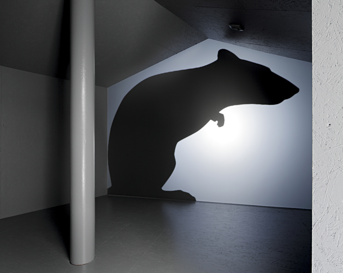 Philipp Gasser, Always quietly active